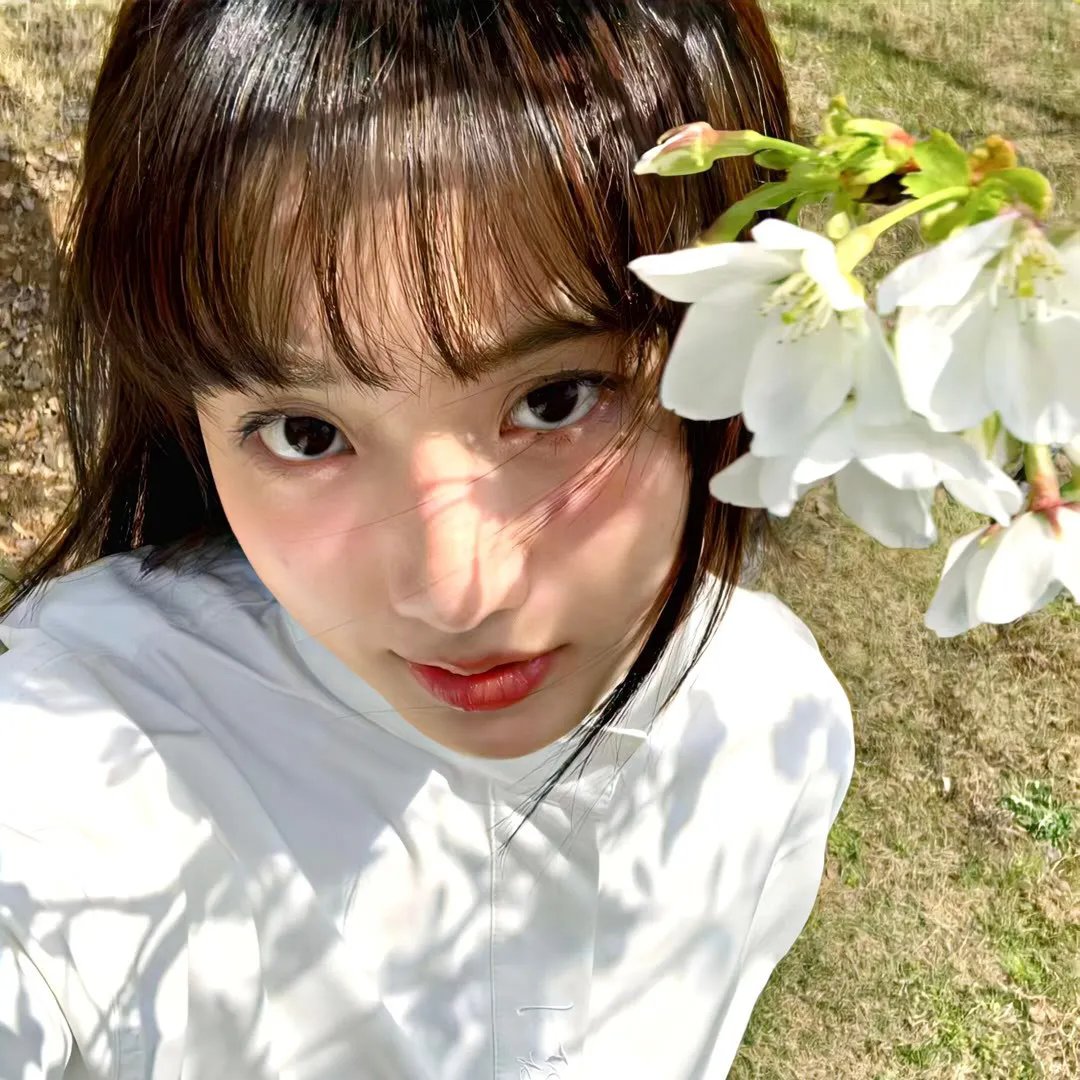 小蜗牛与大鲸鱼